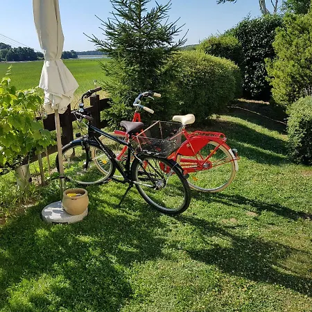Ferien, Messewohnung In Der Nahe Des Uniklinikum Apartment Dusseldorf